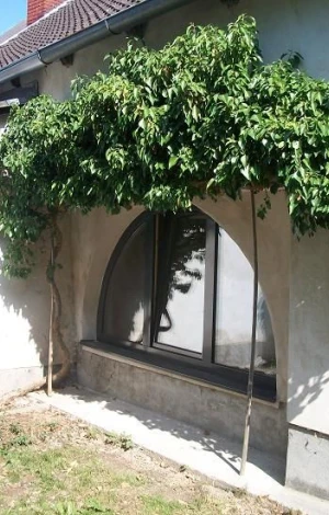 Italienische Fenster - Produktion