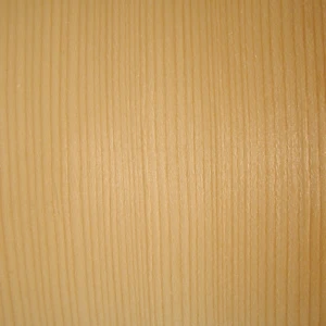 swierk1